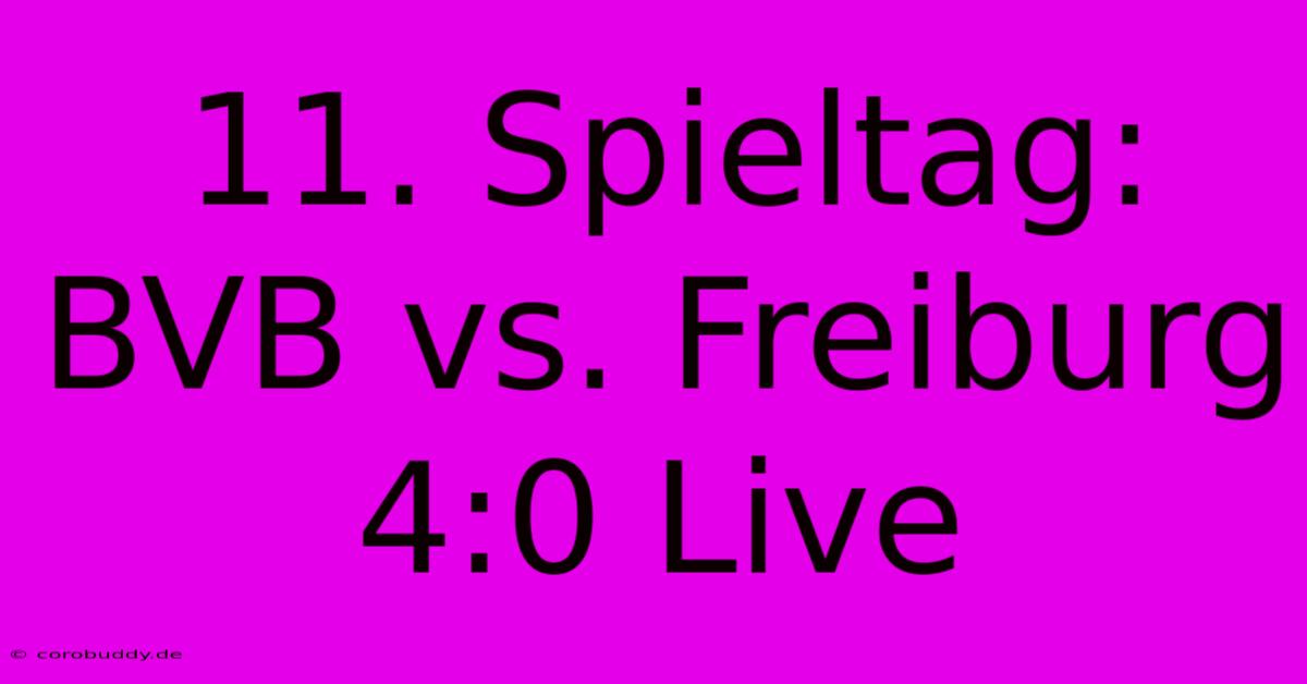 11. Spieltag: BVB Vs. Freiburg 4:0 Live