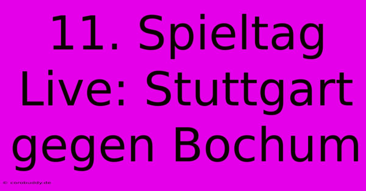 11. Spieltag Live: Stuttgart Gegen Bochum