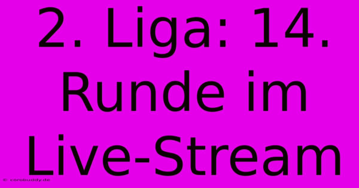 2. Liga: 14. Runde Im Live-Stream