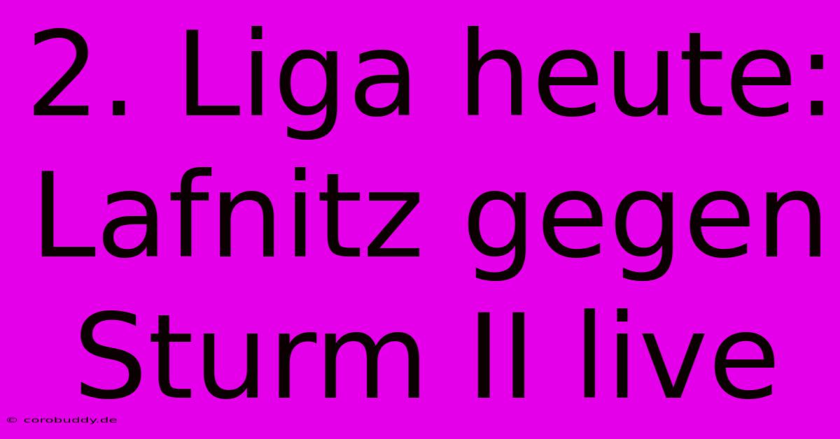 2. Liga Heute: Lafnitz Gegen Sturm II Live