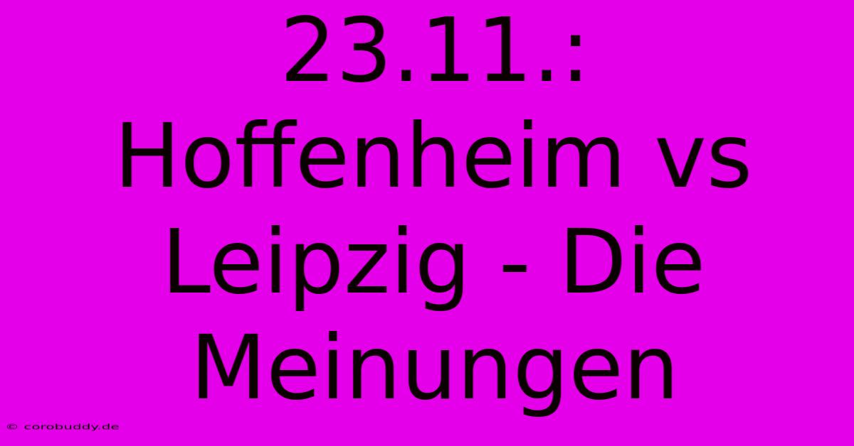 23.11.: Hoffenheim Vs Leipzig - Die Meinungen