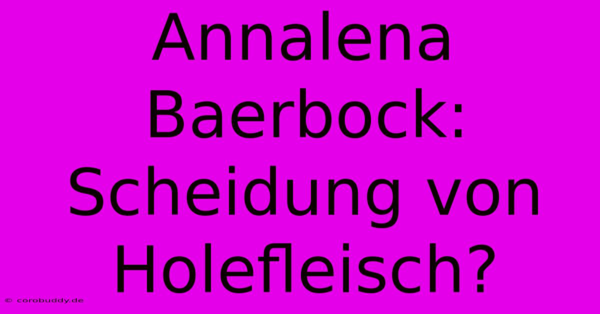 Annalena Baerbock: Scheidung Von Holefleisch?