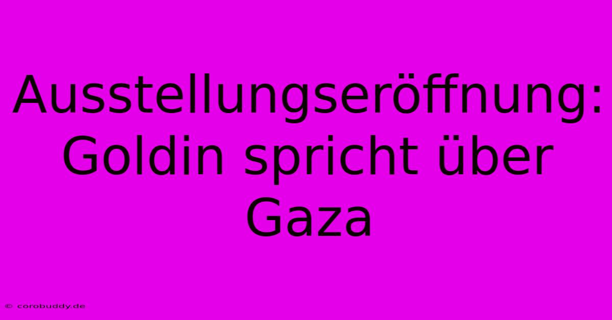 Ausstellungseröffnung: Goldin Spricht Über Gaza