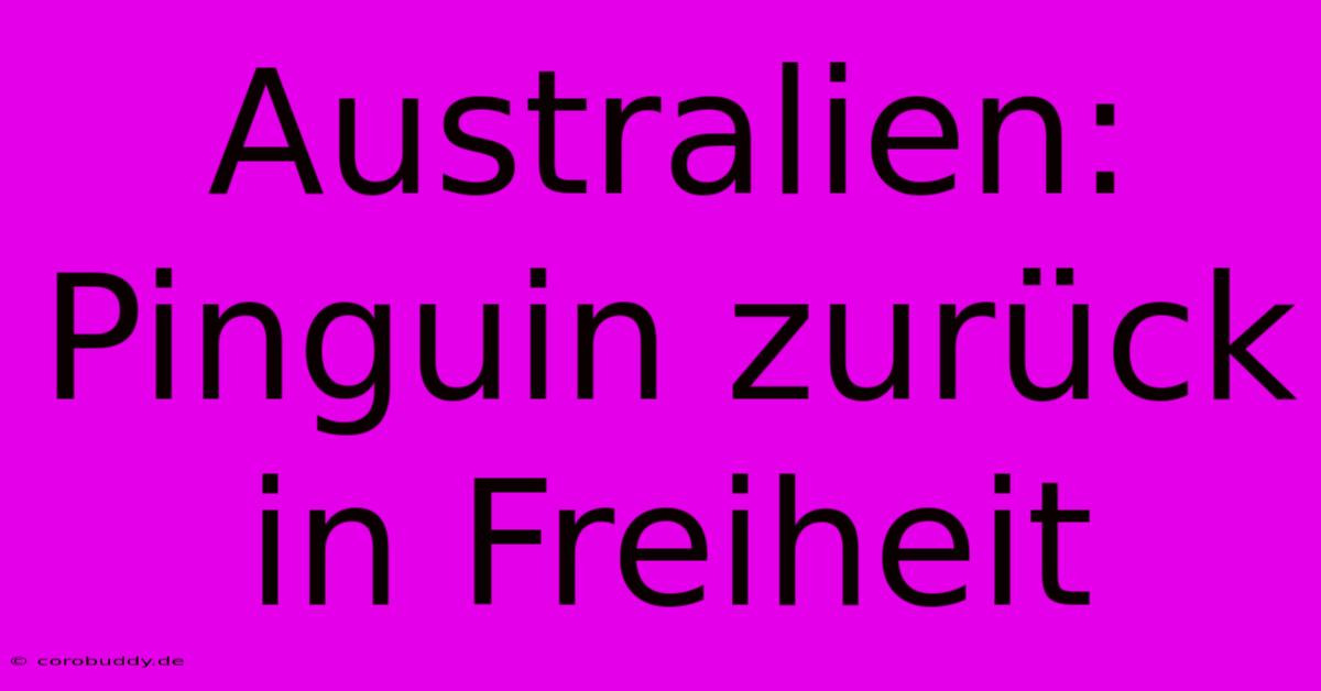 Australien: Pinguin Zurück In Freiheit