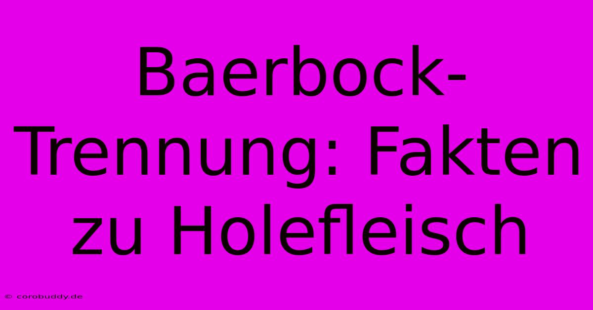 Baerbock-Trennung: Fakten Zu Holefleisch