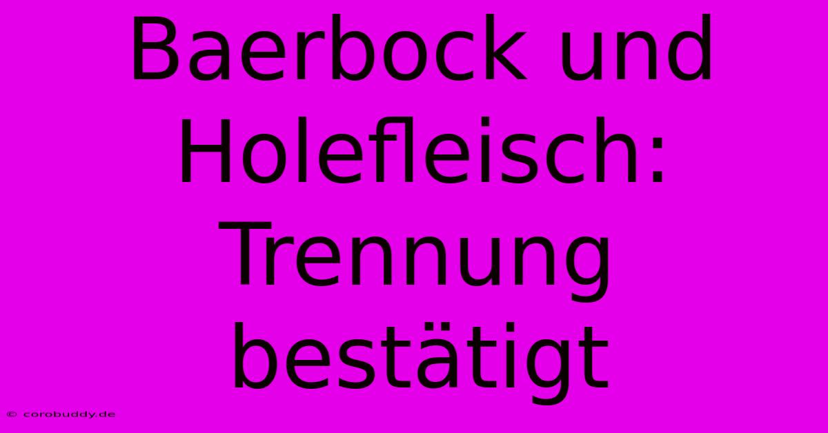 Baerbock Und Holefleisch: Trennung Bestätigt