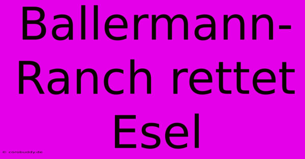 Ballermann-Ranch Rettet Esel