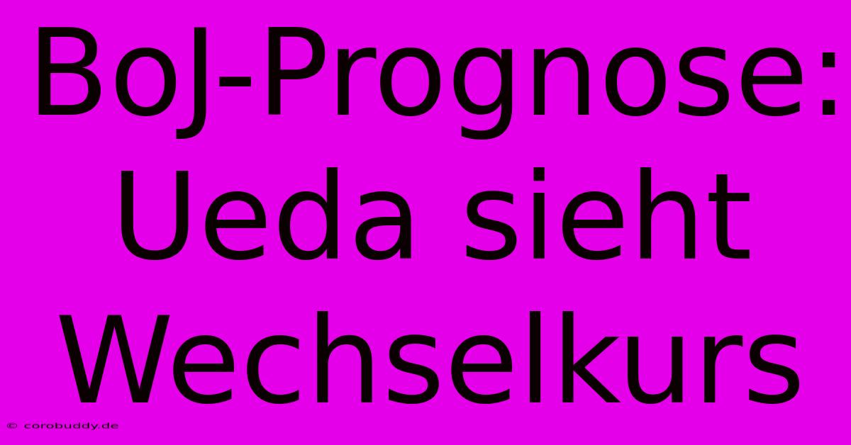 BoJ-Prognose: Ueda Sieht Wechselkurs