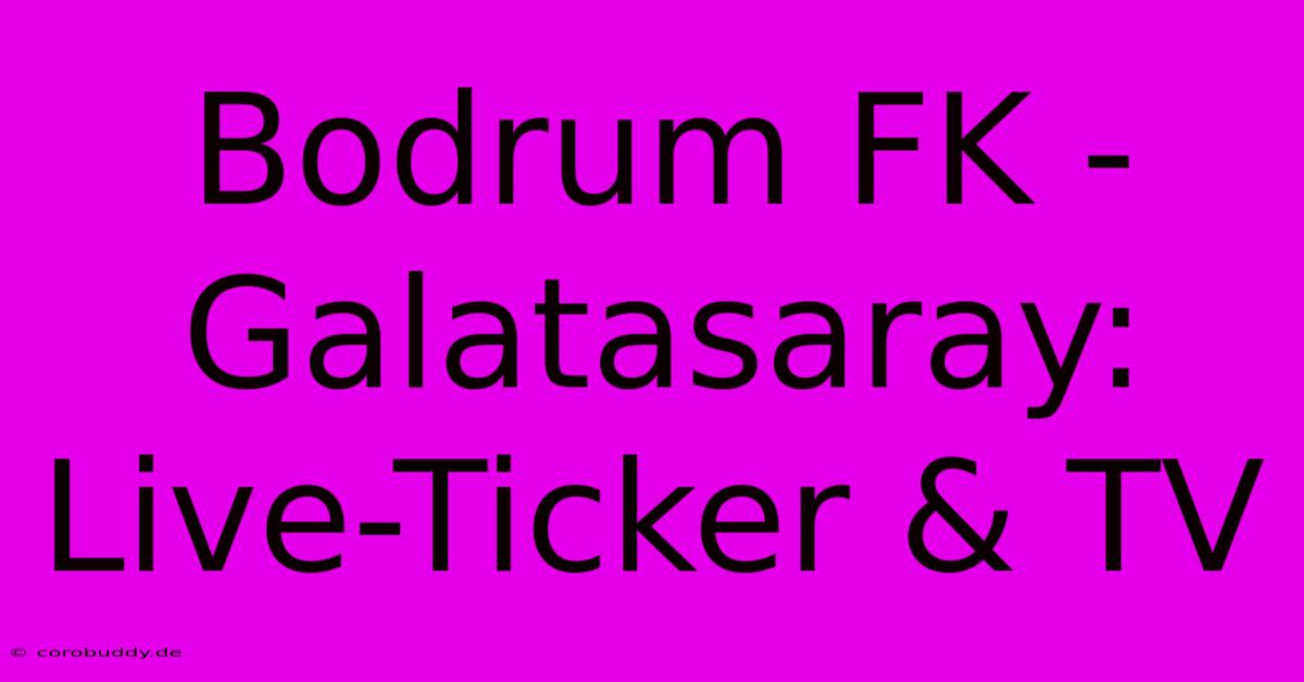 Bodrum FK - Galatasaray: Live-Ticker & TV