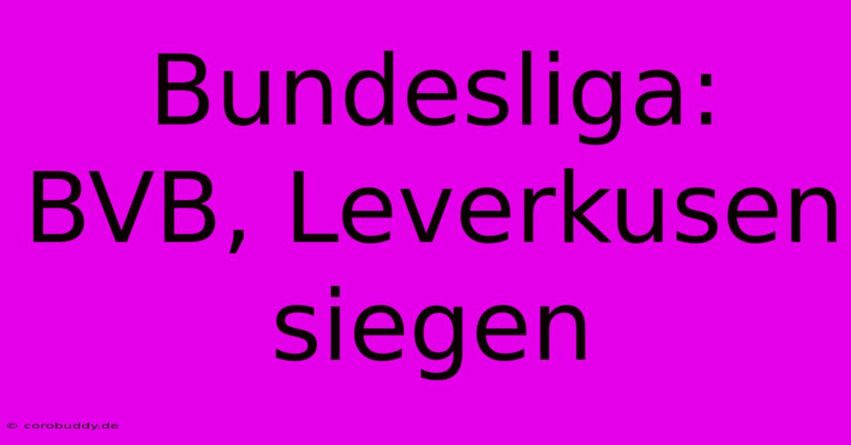 Bundesliga: BVB, Leverkusen Siegen