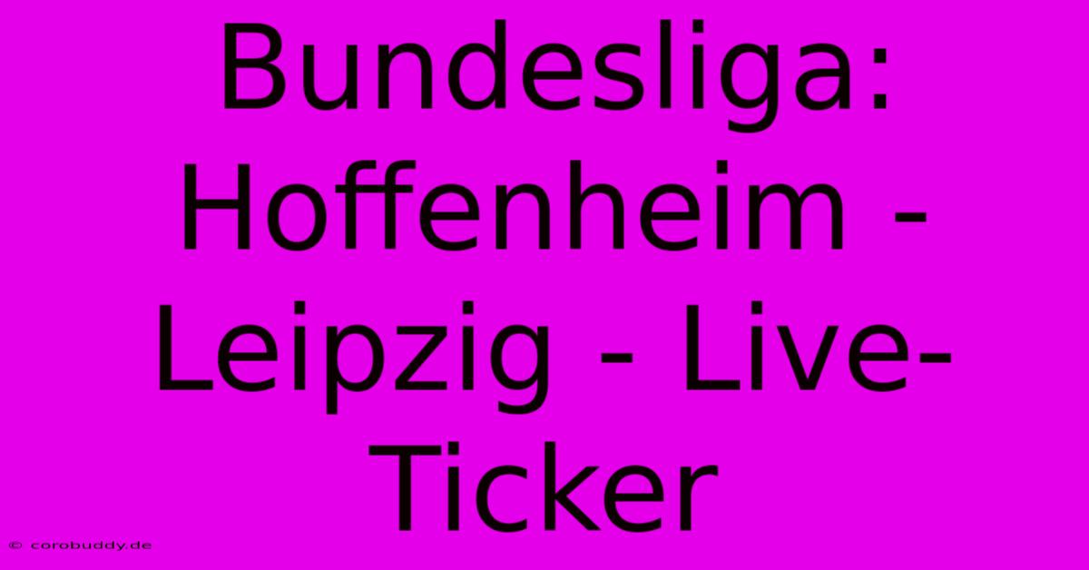 Bundesliga: Hoffenheim - Leipzig - Live-Ticker