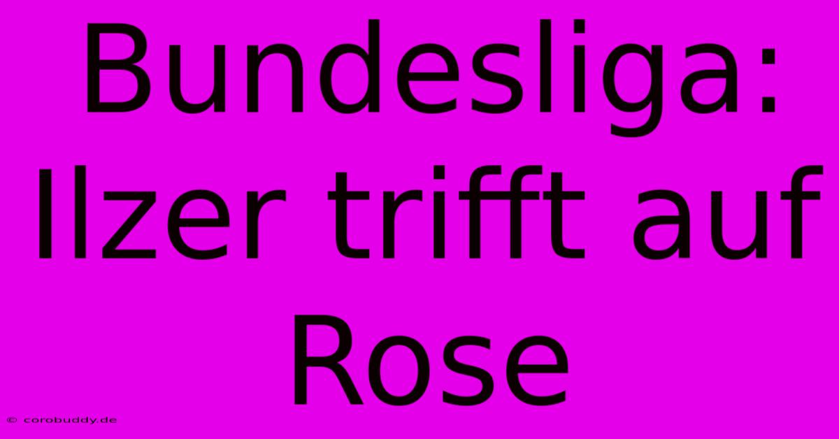 Bundesliga: Ilzer Trifft Auf Rose