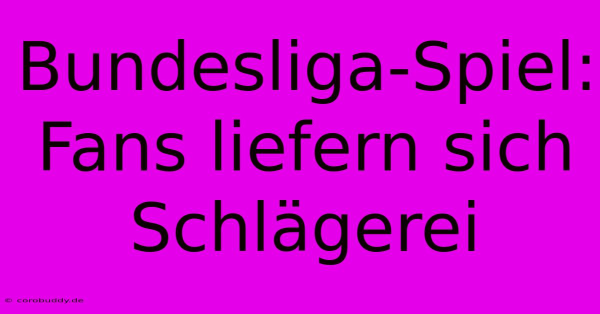 Bundesliga-Spiel: Fans Liefern Sich Schlägerei