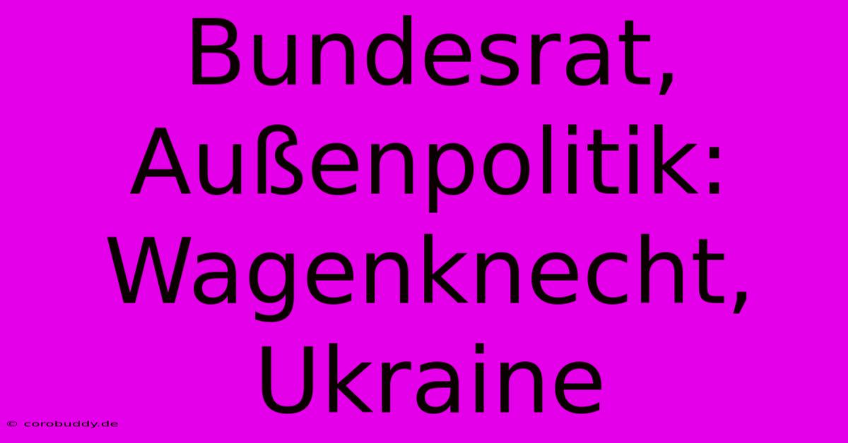 Bundesrat, Außenpolitik: Wagenknecht, Ukraine