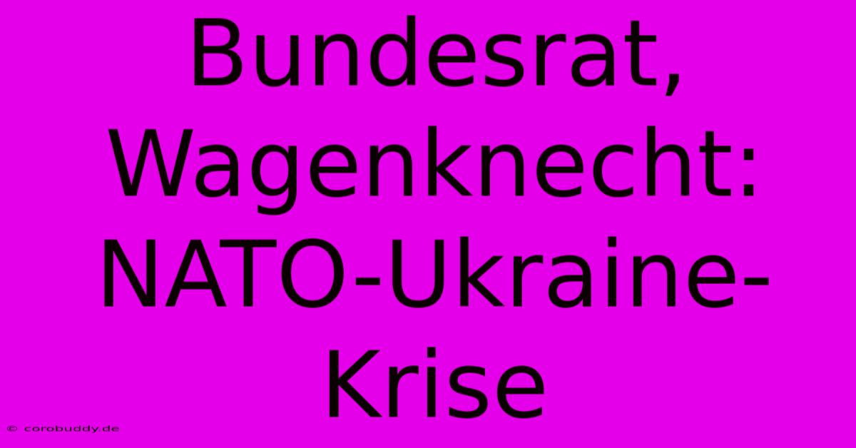 Bundesrat, Wagenknecht: NATO-Ukraine-Krise