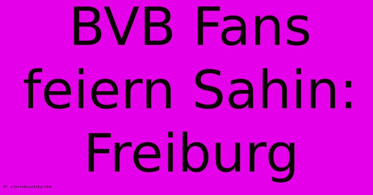 BVB Fans Feiern Sahin: Freiburg