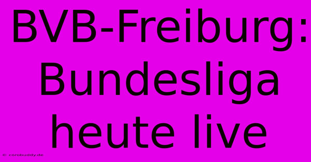 BVB-Freiburg: Bundesliga Heute Live