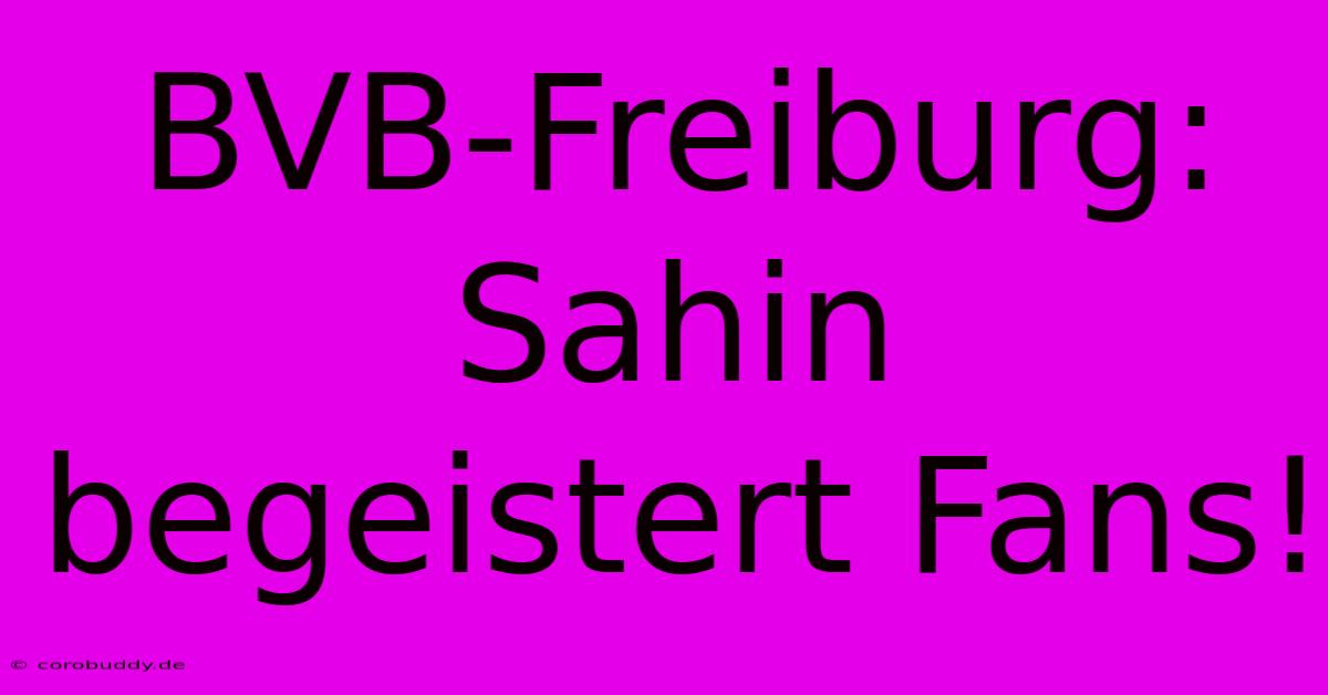 BVB-Freiburg: Sahin Begeistert Fans!