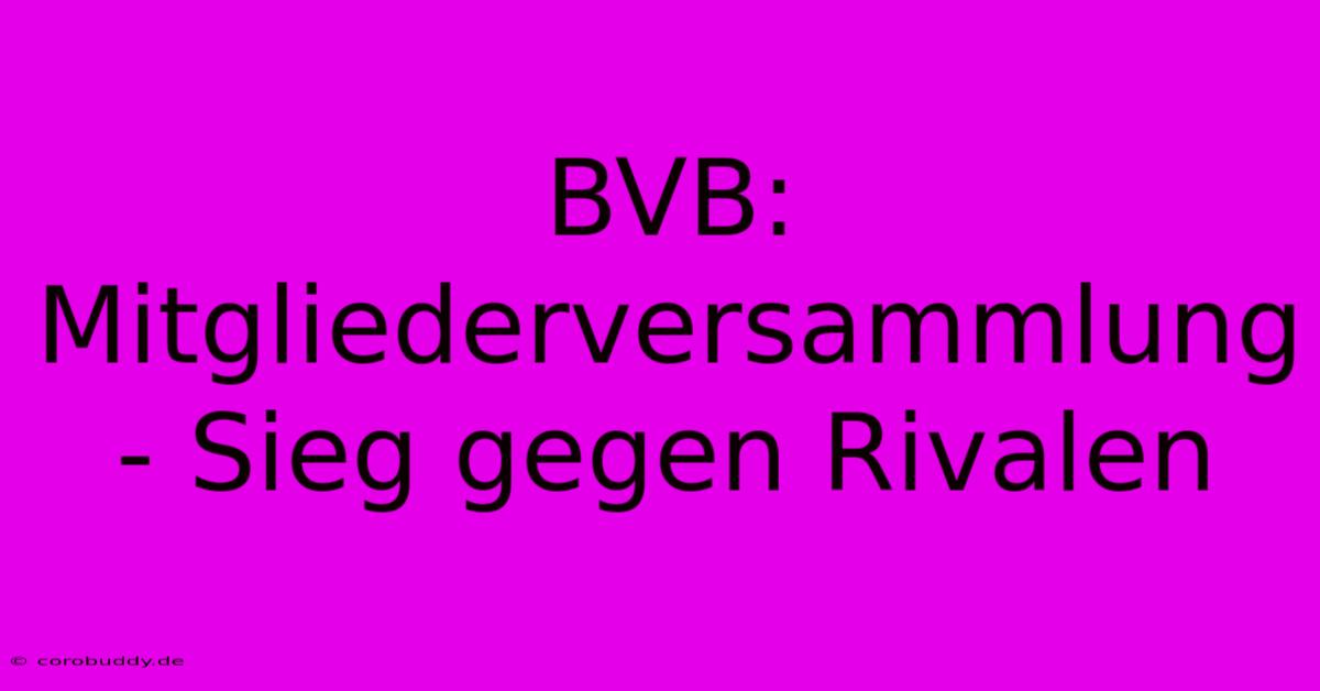 BVB: Mitgliederversammlung - Sieg Gegen Rivalen