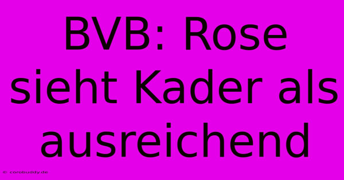 BVB: Rose Sieht Kader Als Ausreichend