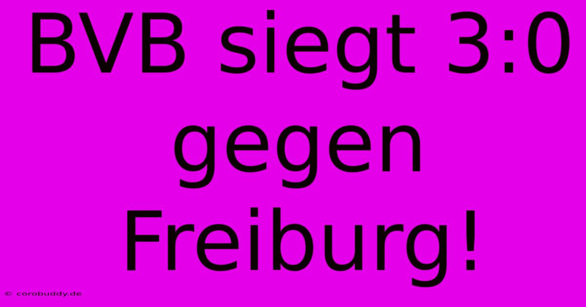 BVB Siegt 3:0 Gegen Freiburg!