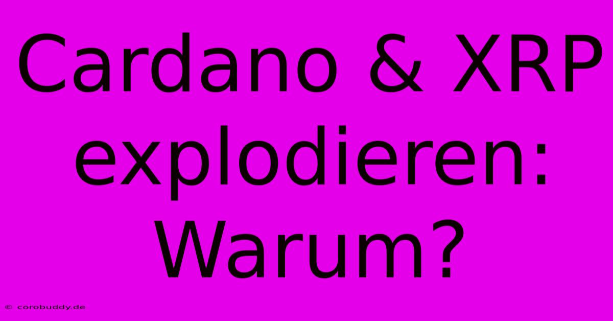 Cardano & XRP Explodieren: Warum?