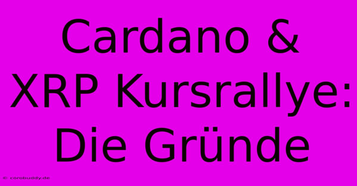 Cardano & XRP Kursrallye: Die Gründe