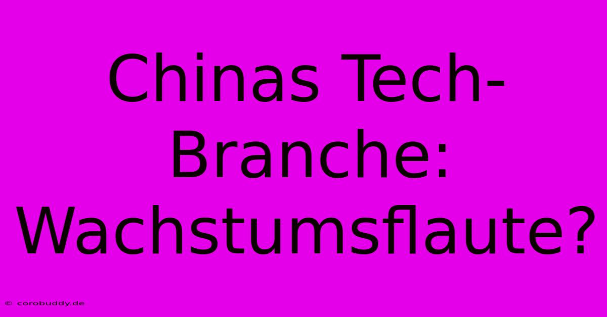 Chinas Tech-Branche: Wachstumsflaute?