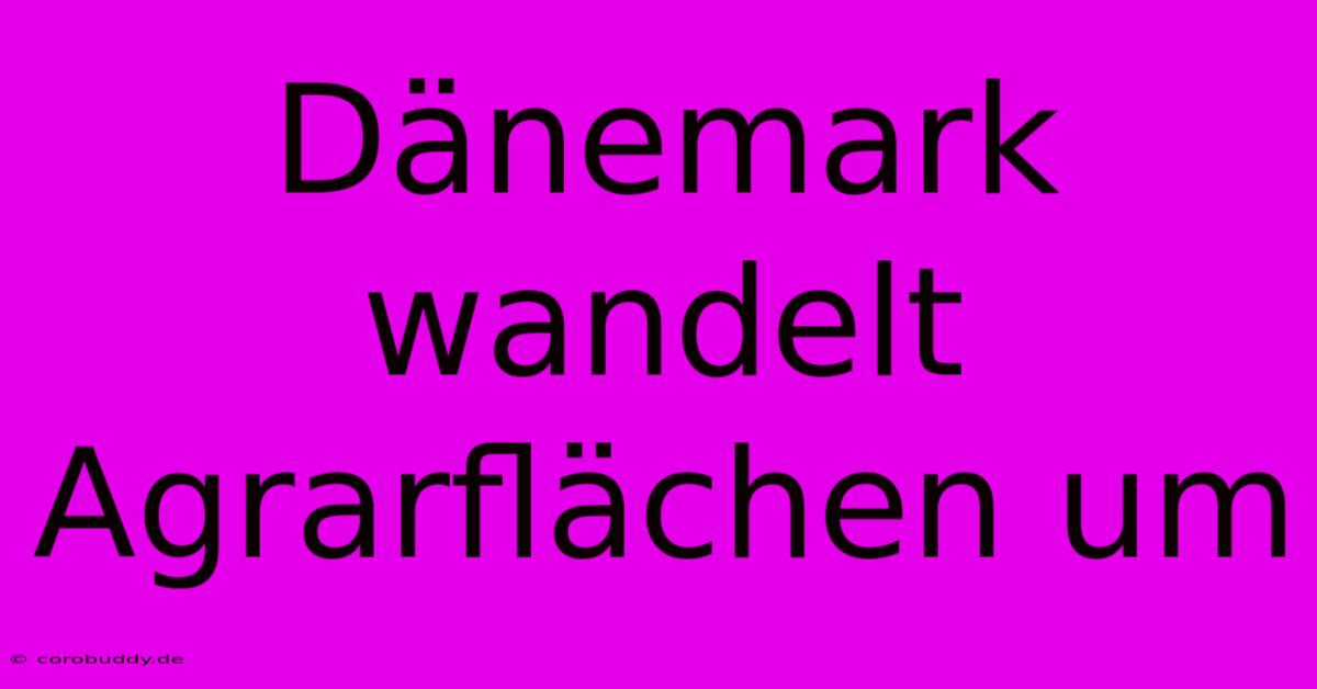 Dänemark Wandelt Agrarflächen Um