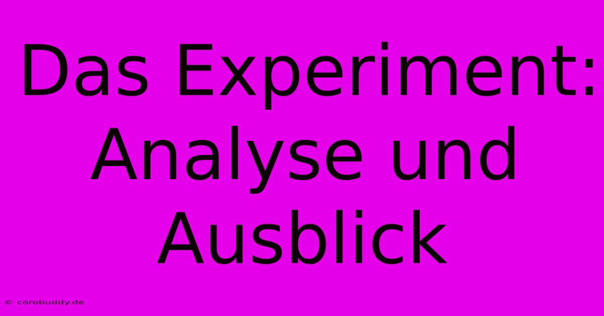 Das Experiment: Analyse Und Ausblick