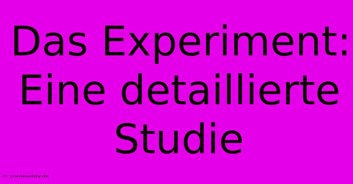 Das Experiment:  Eine Detaillierte Studie