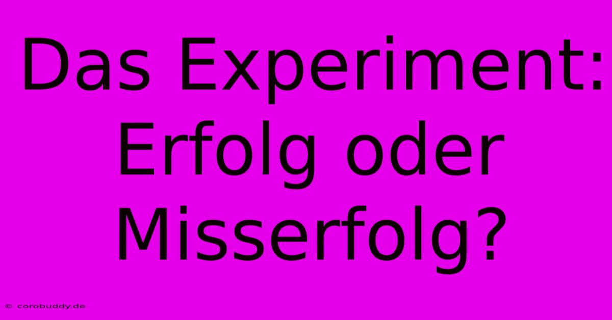 Das Experiment: Erfolg Oder Misserfolg?