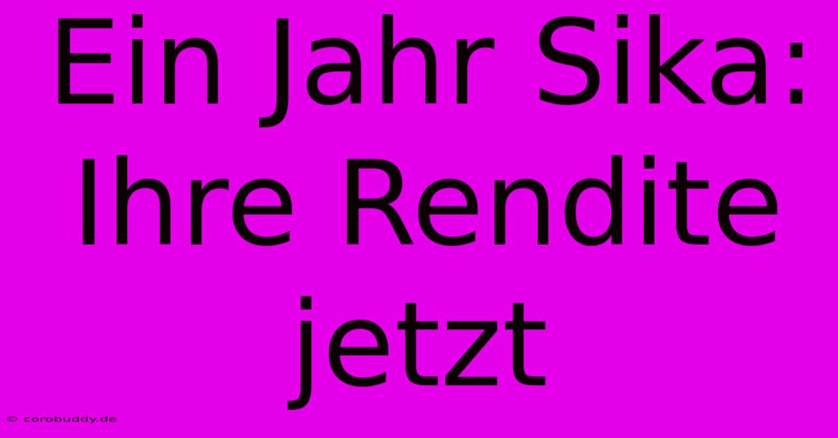 Ein Jahr Sika: Ihre Rendite Jetzt