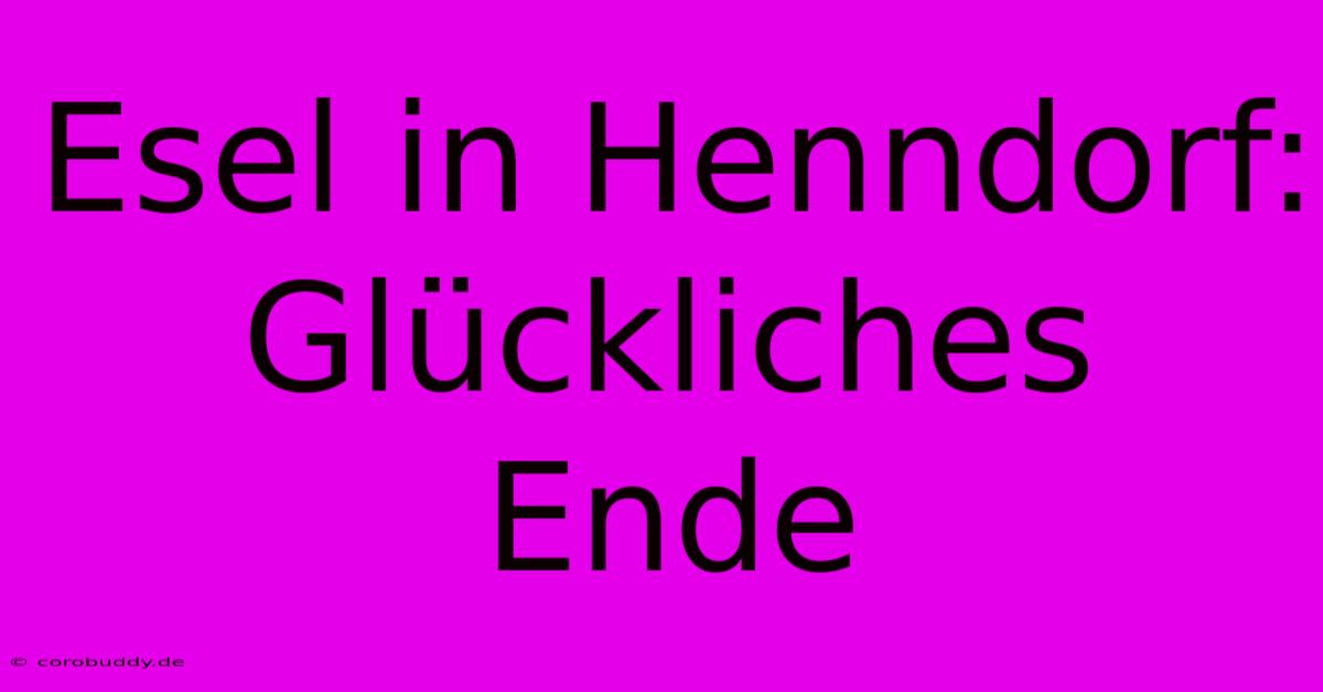 Esel In Henndorf: Glückliches Ende