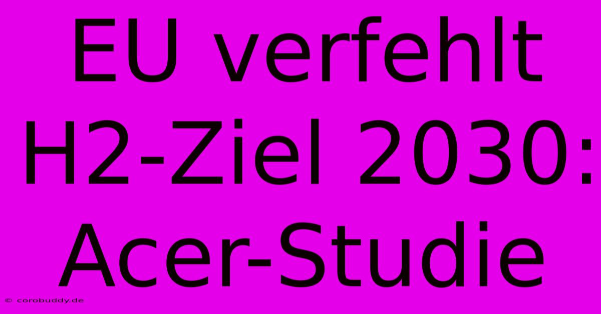 EU Verfehlt H2-Ziel 2030: Acer-Studie