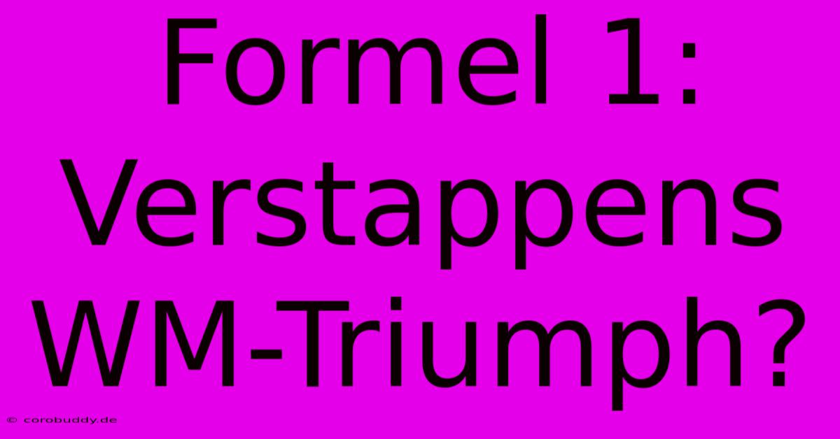 Formel 1: Verstappens WM-Triumph?