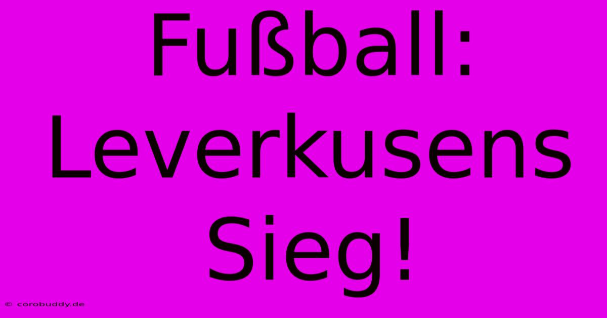 Fußball: Leverkusens Sieg!