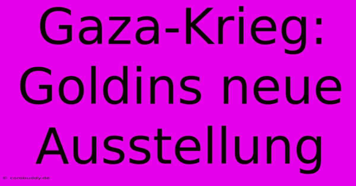 Gaza-Krieg: Goldins Neue Ausstellung