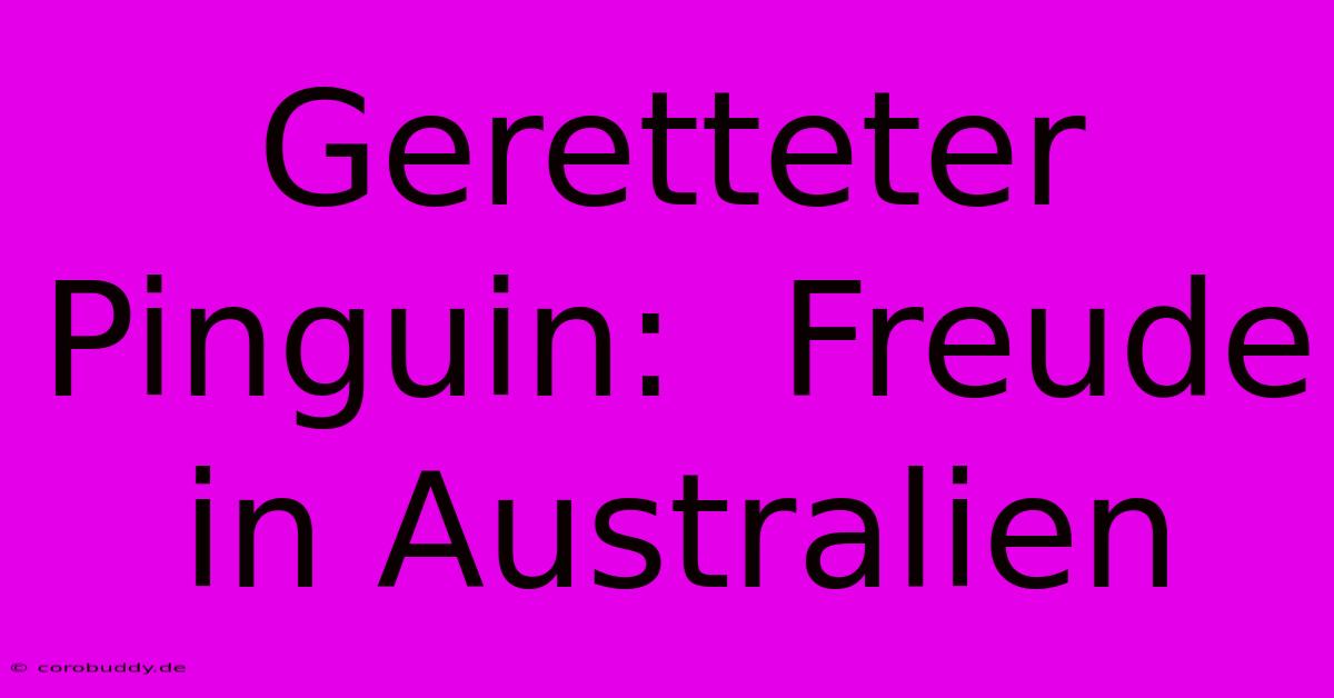 Geretteter Pinguin:  Freude In Australien