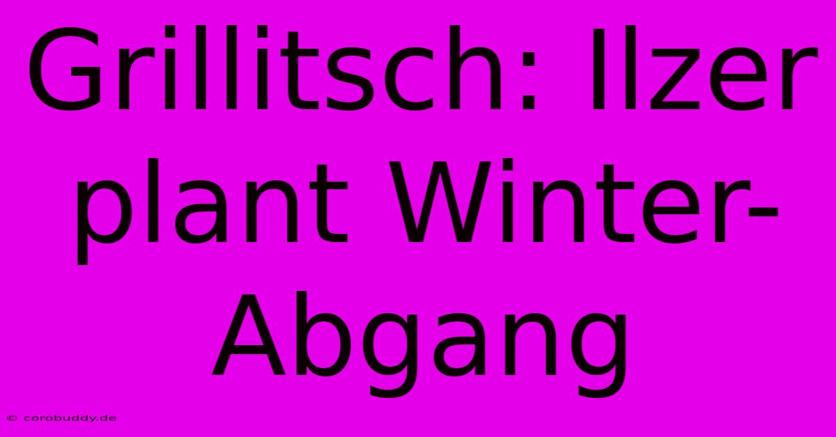 Grillitsch: Ilzer Plant Winter-Abgang