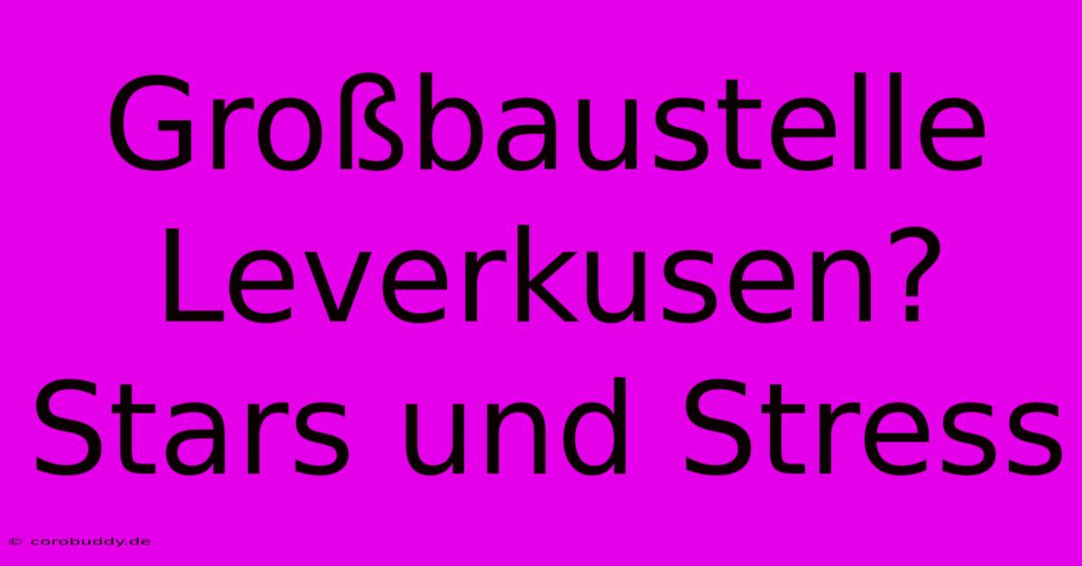 Großbaustelle Leverkusen? Stars Und Stress