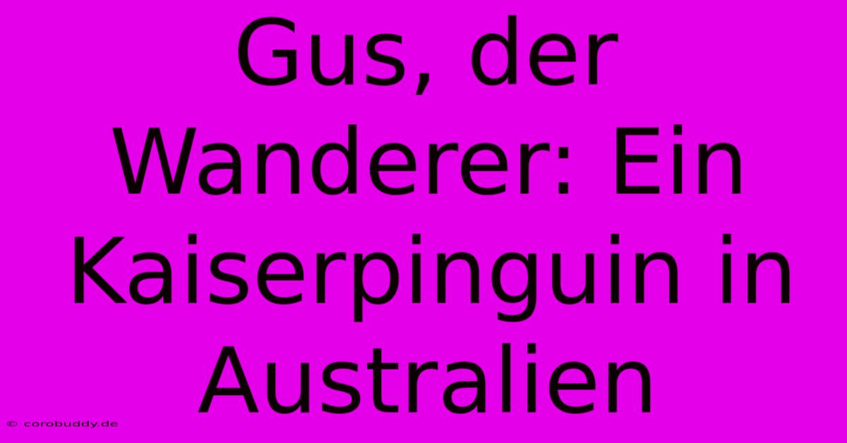 Gus, Der Wanderer: Ein Kaiserpinguin In Australien