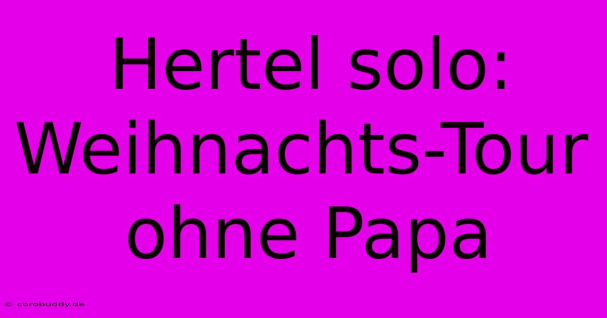 Hertel Solo: Weihnachts-Tour Ohne Papa