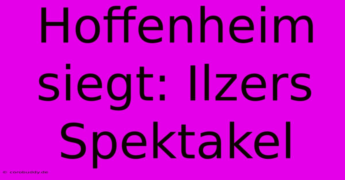 Hoffenheim Siegt: Ilzers Spektakel
