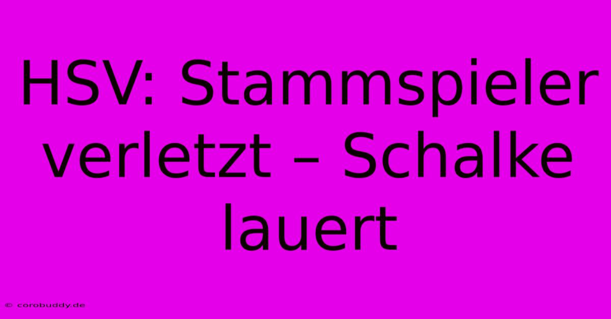 HSV: Stammspieler Verletzt – Schalke Lauert