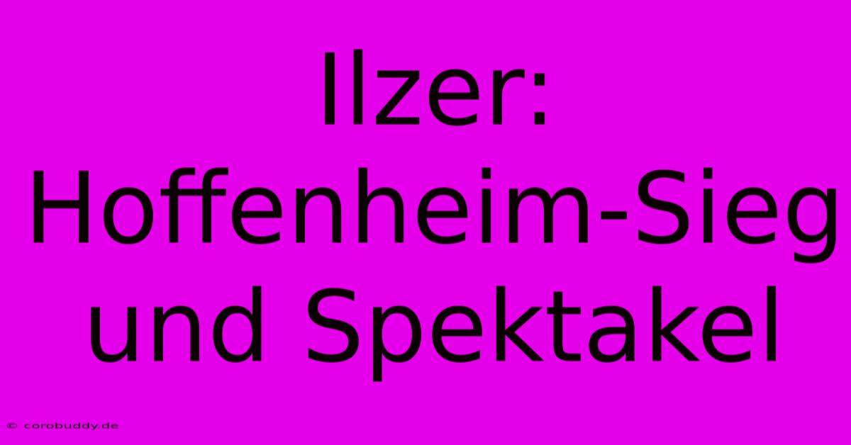 Ilzer: Hoffenheim-Sieg Und Spektakel