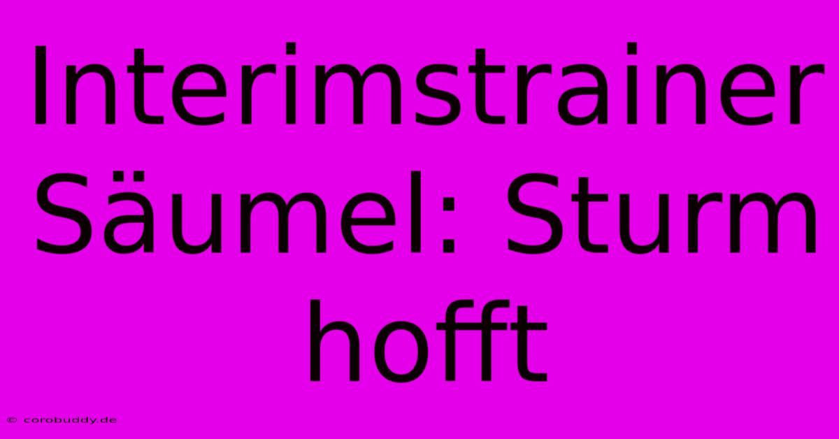 Interimstrainer Säumel: Sturm Hofft