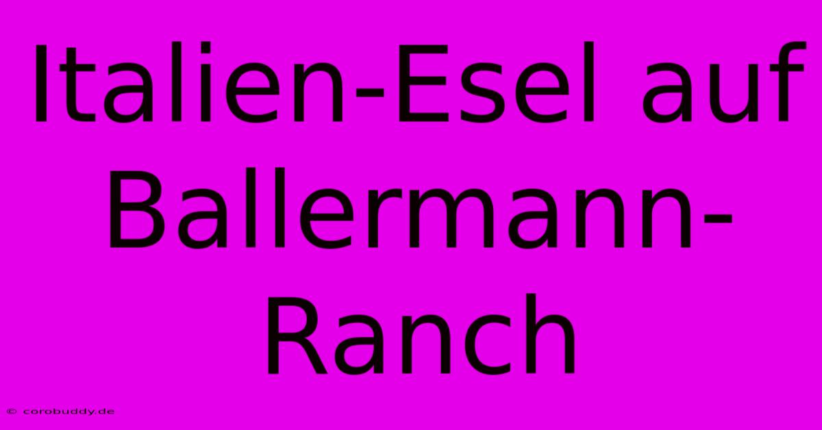 Italien-Esel Auf Ballermann-Ranch