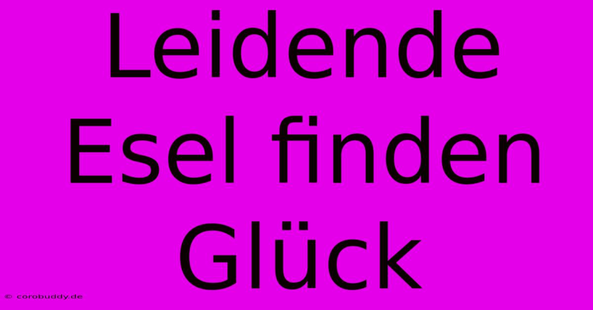 Leidende Esel Finden Glück