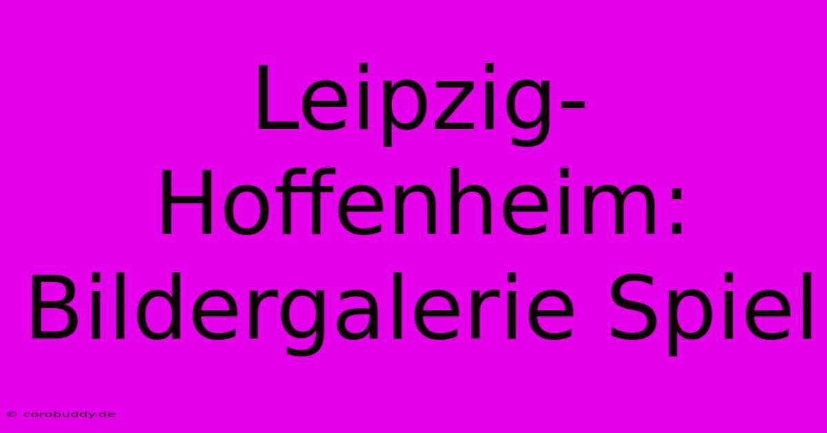 Leipzig-Hoffenheim: Bildergalerie Spiel